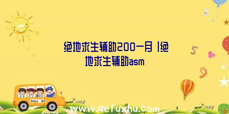 「绝地求生辅助200一月」|绝地求生辅助asm